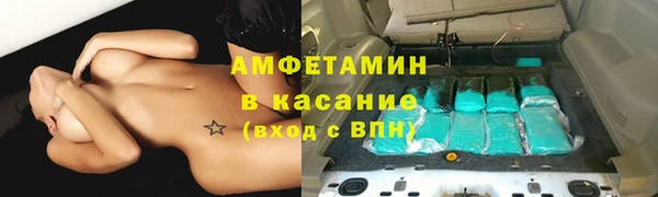 индика Верхний Тагил