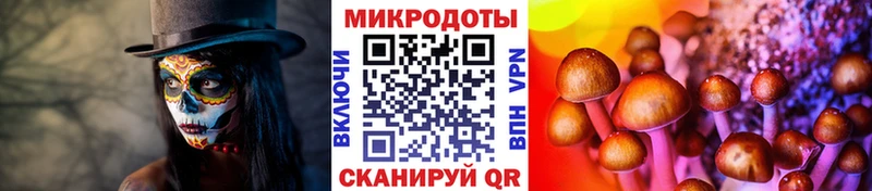 Псилоцибиновые грибы Psilocybine cubensis магазин продажи Орлов